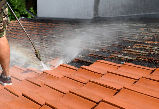 Fence Pressure Washing in Mount Pleasant, NC